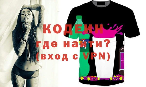 шишки Кодинск