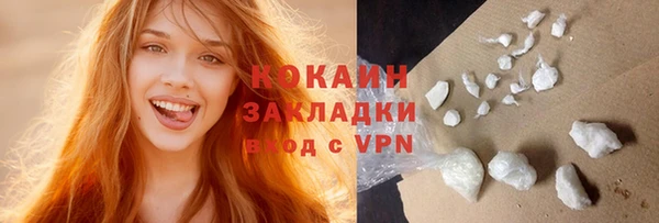 шишки Кодинск