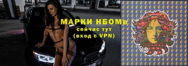 шишки Кодинск