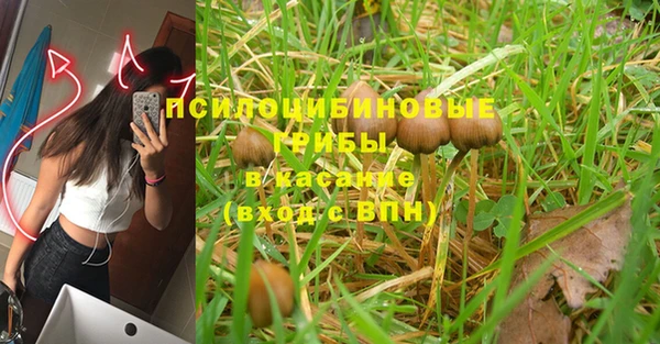 мескалин Козловка