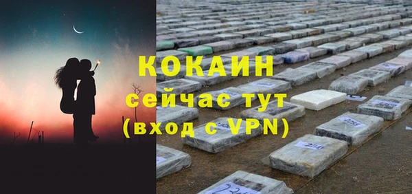 шишки Кодинск
