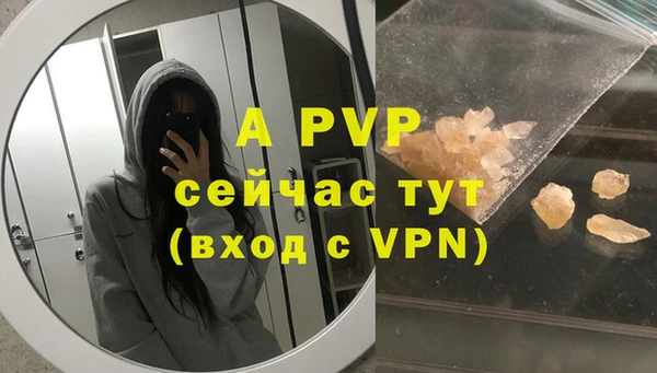 мдпв Козельск