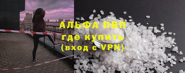 шишки Кодинск