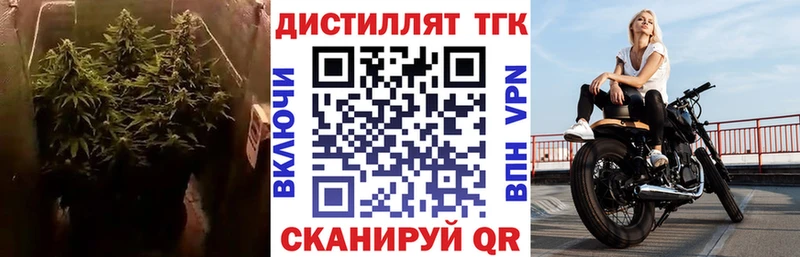 mega ссылки  Кинешма  ТГК вейп с тгк 